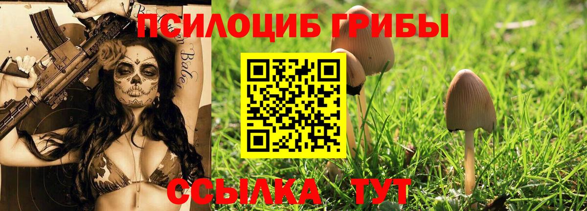 Псилоцибиновые грибы ЛСД Скопин